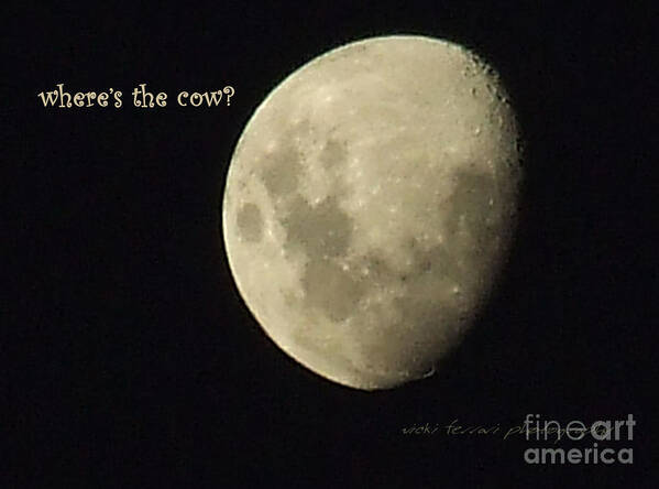 Birthday Poster featuring the photograph Moon Missing Cow by Vicki Ferrari