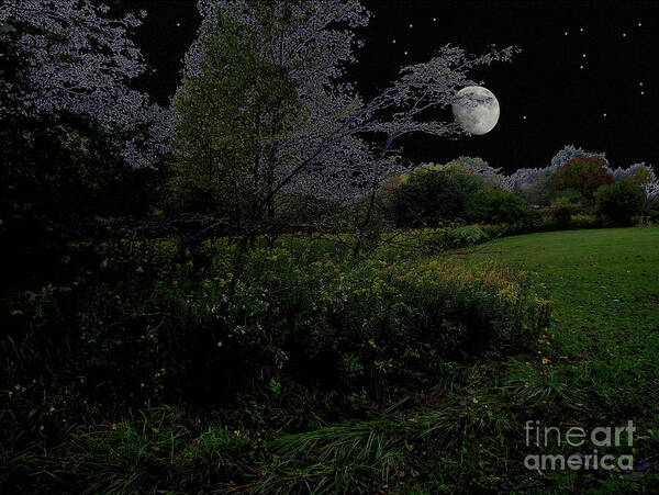 Nature Poster featuring the photograph Moonrise In Flossmoor Forest by Cedric Hampton