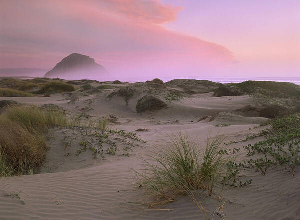 00176695 Poster featuring the photograph Morro Rock At Morro Bay California by Tim Fitzharris