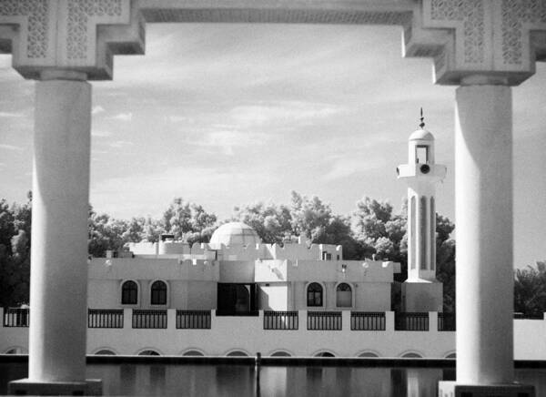 Mosque Poster featuring the photograph Mosque in infrared by Paul Cowan