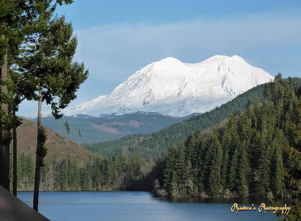 Mountains Poster featuring the photograph Mt. Rainier from Mineral Lake by A L Sadie Reneau