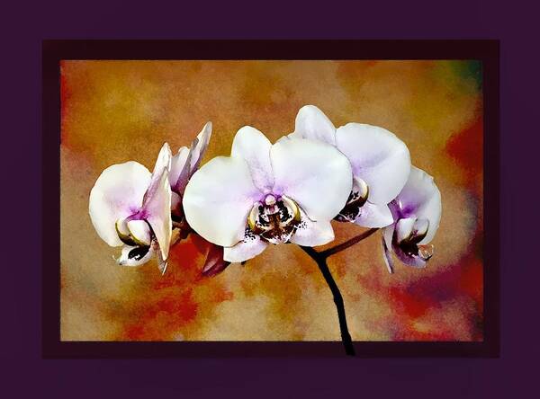 Orchids Poster featuring the painting Orchids by Mary Morawska