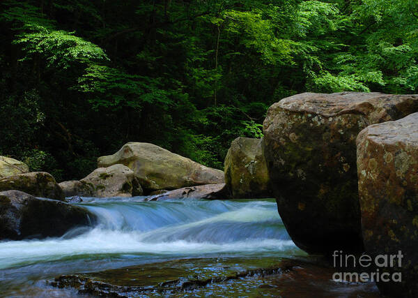 Painted Poster featuring the photograph Painted Rocks by Amanda Jones