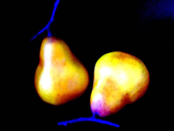 Pear Poster featuring the digital art Pair Of Pears Yellow by Randall Weidner