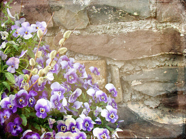 Pansies Poster featuring the photograph Pansies and Pussywillows by Carol Senske