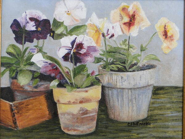 Floral Poster featuring the painting Pansies by Cindy Plutnicki