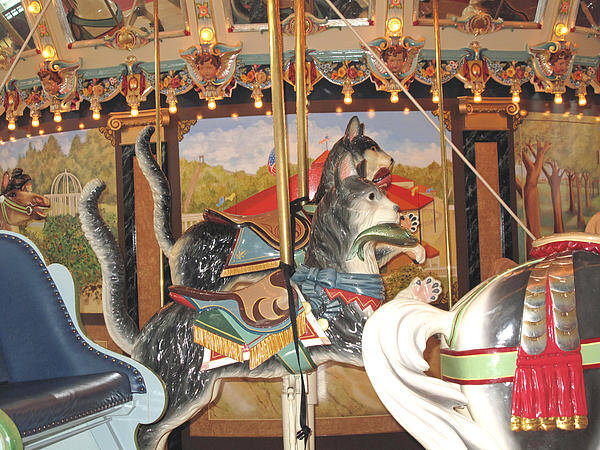 Carousel Poster featuring the photograph Philadelphia Style Cats by Barbara McDevitt