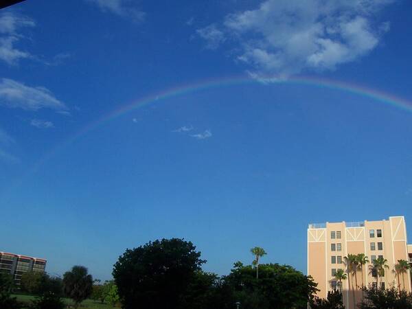 Rainbow Poster featuring the photograph Rainbow Morning by Sheila Silverstein