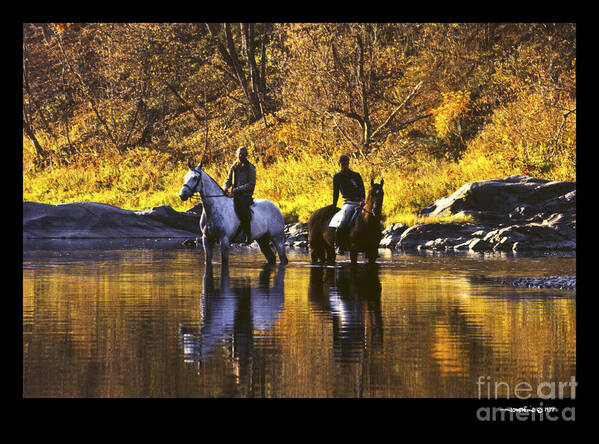 Horses Poster featuring the photograph Reflecting on the Ride by Jonathan Fine