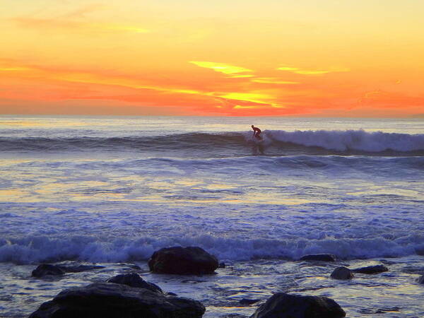 Dana Point Poster featuring the photograph Riding High by Linda Larson