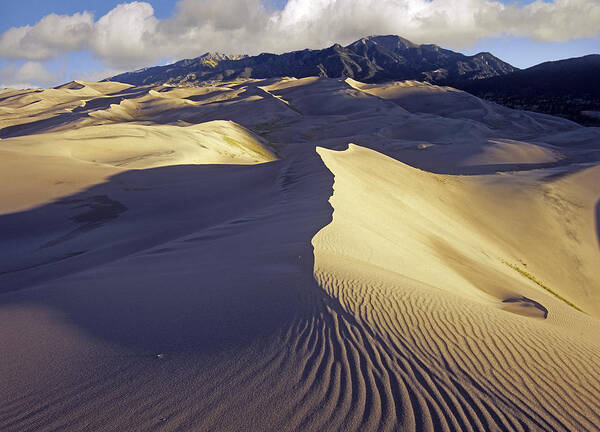 00175798 Poster featuring the photograph Rippled Sand Dunes With Sangre De by Tim Fitzharris