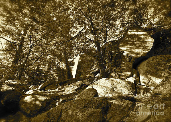 Maynard Poster featuring the photograph Rocks and Trees 1 sepia by Maynard Smith