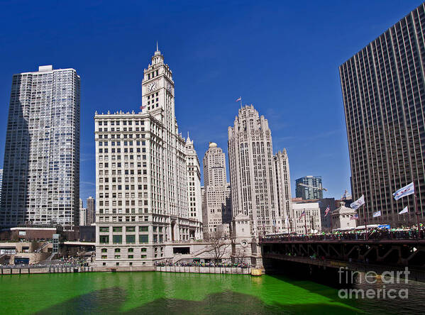 Wrigley Tower Chicago Poster featuring the photograph Saint Patrick's Day by Dejan Jovanovic