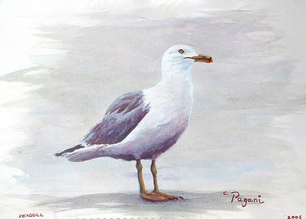 Seagull Poster featuring the painting Seagull by Chriss Pagani