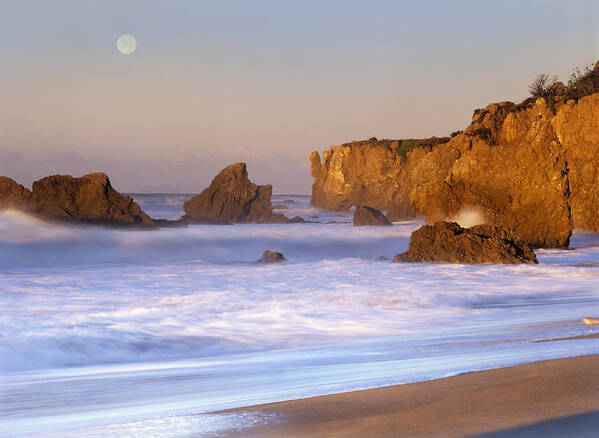 Mp Poster featuring the photograph Seastacks And Full Moon At El Matador by Tim Fitzharris