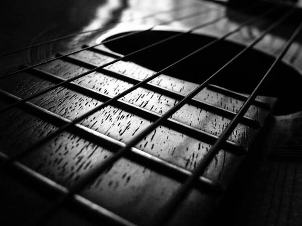 Guitar Poster featuring the photograph Shadow Strings by Stacy Michelle Smith