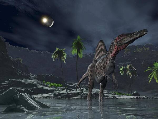 Spinosaurus Poster featuring the photograph Spinosaurus Witnessing A Lunar Impact by Walter Myers