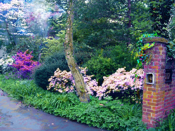 Garden Poster featuring the photograph Spring in the Garden by Viola El