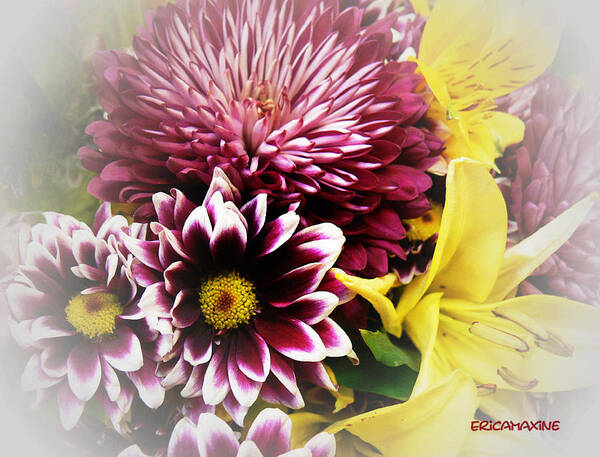 Flowers Poster featuring the photograph Spring Mix by Ericamaxine Price