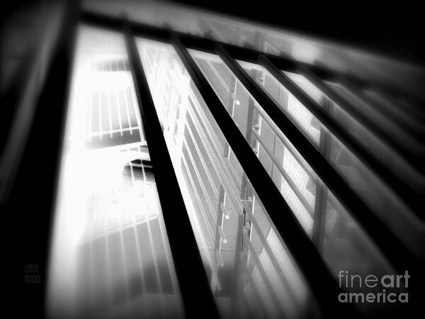 Stairs Poster featuring the photograph Stairway black and white by Leela Arnet