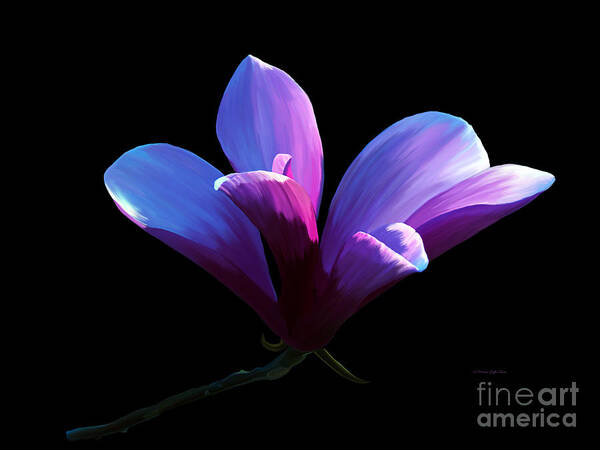 Fine Art Print Poster featuring the painting Steel Magnolia by Patricia Griffin Brett