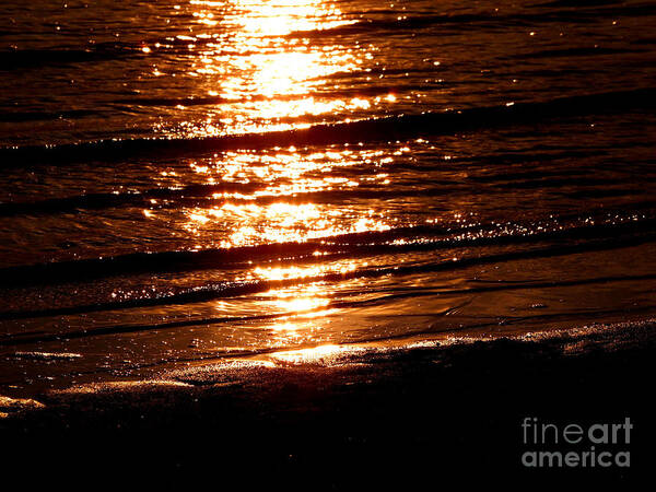 Sunset Poster featuring the photograph Sunset Shore by Angie Rea