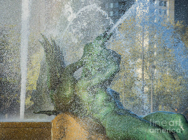 swann Fountain Poster featuring the photograph Swann Fountain by John Greim