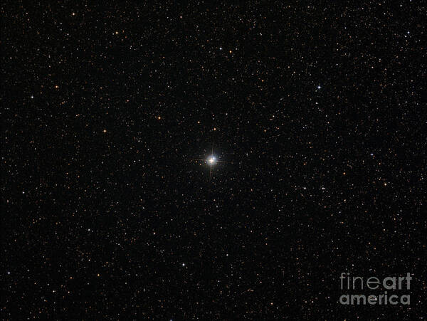 Albireo Poster featuring the photograph The Double Star Albireo by Filipe Alves