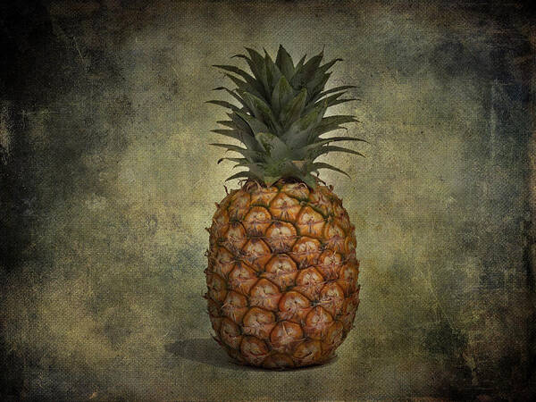  Jerry Cordeiro Photographs Poster featuring the photograph The Pineapple by J C