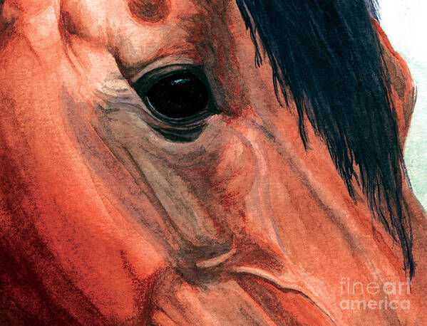 Horse Poster featuring the painting Through My Eyes by Tonia Antilla