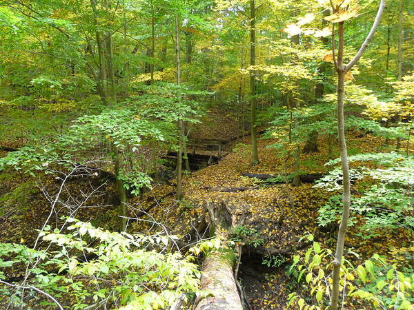 Fall Nymphs Poster featuring the photograph Trail to Squires Castle by Joel Deutsch