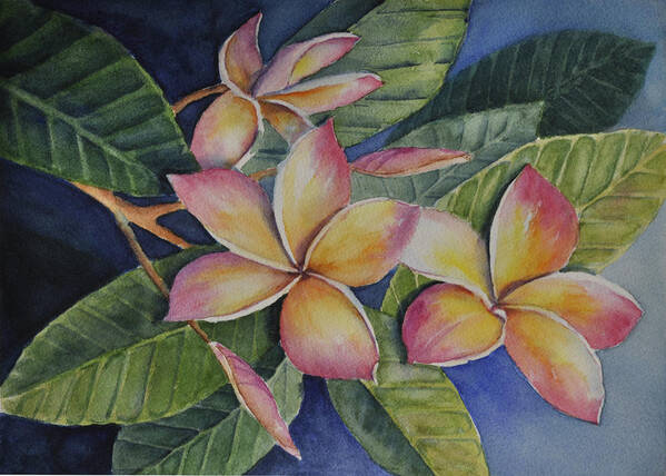 Botanical Poster featuring the painting Tropical Plumerias by Sandy Fisher