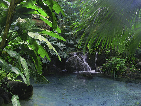 Waterfall Poster featuring the digital art Tropical Pool by Shere Crossman
