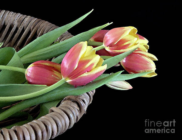Tulips Poster featuring the digital art Tulips From the Garden by Sherry Hallemeier