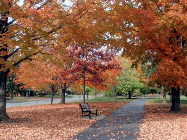 Upper Arlington Poster featuring the photograph UA In The Fall by Beth Akerman