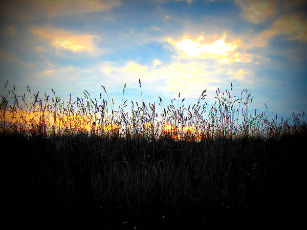 Field Poster featuring the photograph Waves of Grain by Dark Whimsy