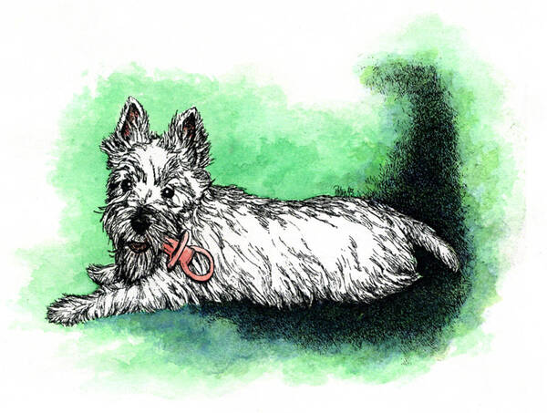 Westie Poster featuring the painting Westie with Soother by Patrice Clarkson