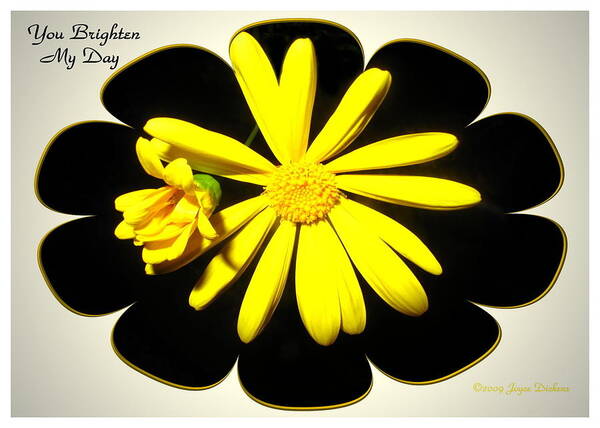 Daisy Poster featuring the photograph Yellow Daisy - You Brighten My Day by Joyce Dickens