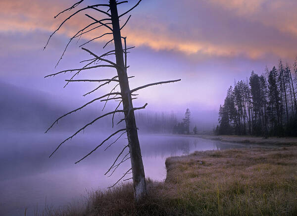 00486915 Poster featuring the photograph Yellowstone Lake Yellowstone National by Tim Fitzharris