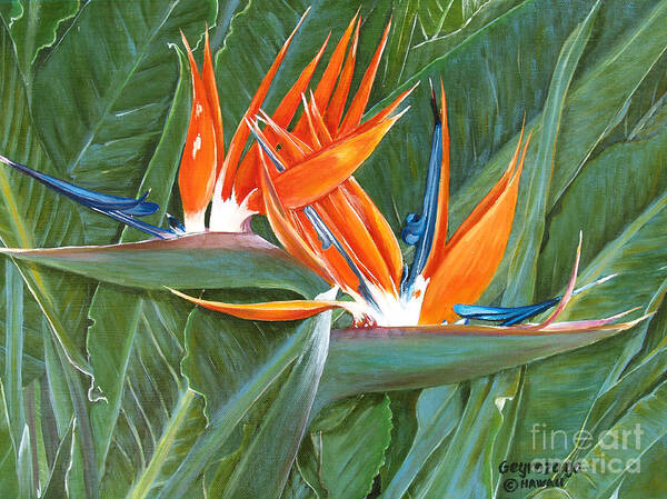 Floral Poster featuring the painting Birds Of Paradise by Larry Geyrozaga
