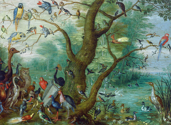 Jan Van Kessel Poster featuring the painting Concert of Birds #1 by Circle of Jan van Kessel