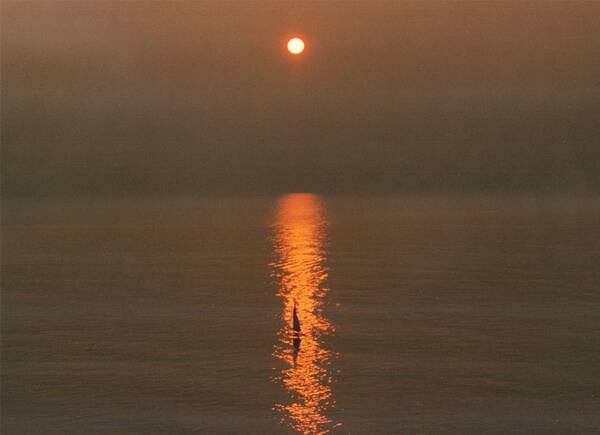 Sunrise Poster featuring the photograph Foggy Sunrise on Virginia Beach #1 by Lila Mattison