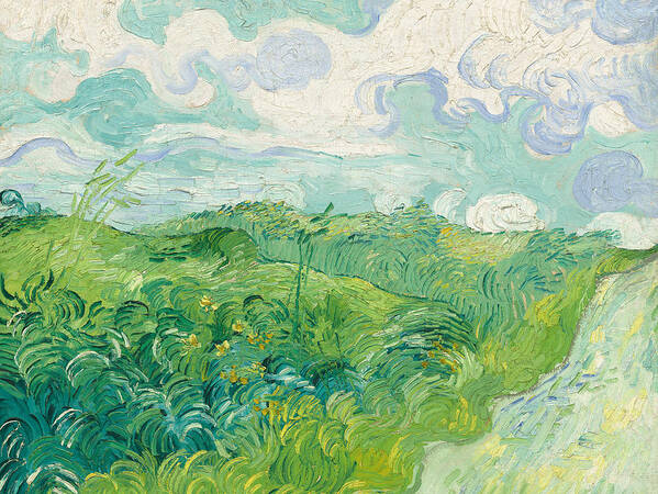 Green Wheat Fields Poster featuring the painting Green Wheat Fields  Auvers by Vincent Van Gogh