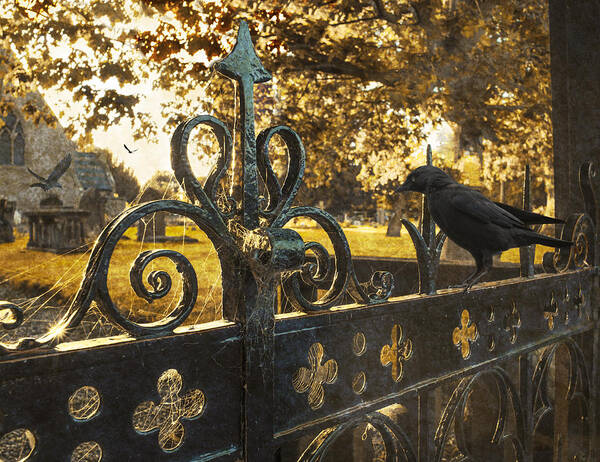 Cemetery Poster featuring the photograph Jackdaw On Church Gates #1 by Amanda Elwell