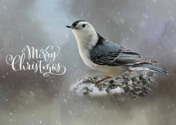 Bird Poster featuring the photograph Nuthatch in Winter Holiday Card #1 by Cathy Kovarik
