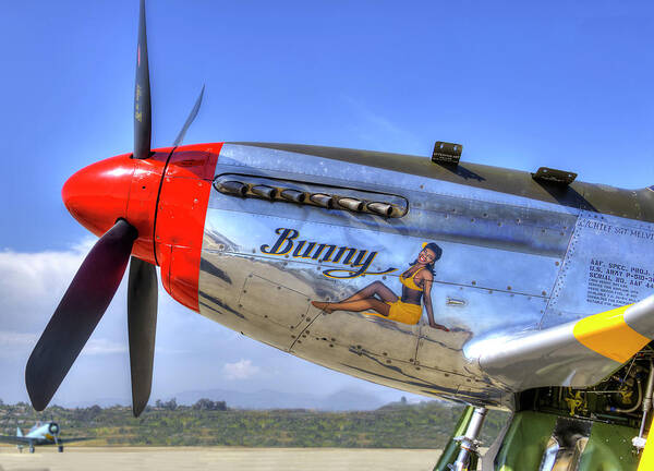 P-51 Poster featuring the photograph P-51 #1 by Joe Palermo