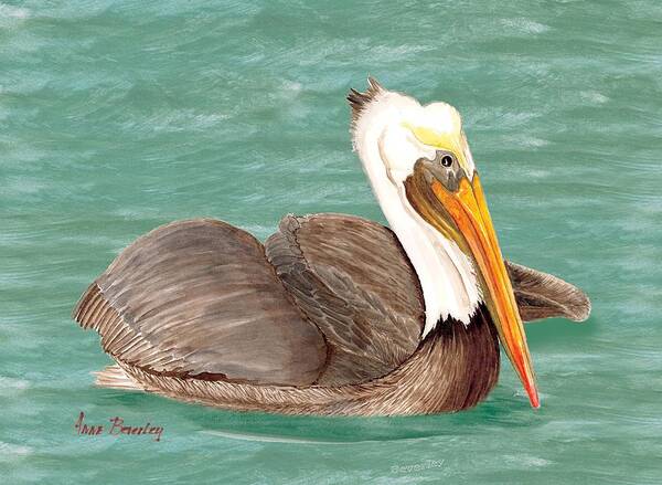 Pelican Poster featuring the painting Pelican Floating #1 by Anne Beverley-Stamps