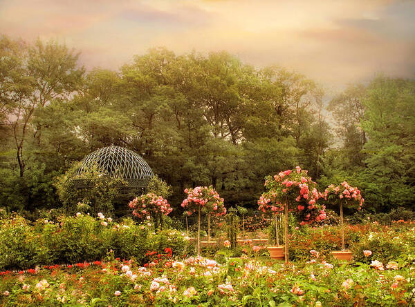 Nature Poster featuring the photograph Rose Garden #2 by Jessica Jenney