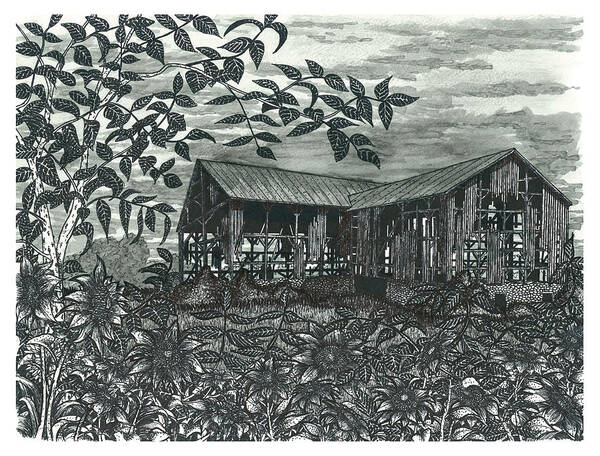Ontario Farmhouse Poster featuring the drawing Sunflower Farm #2 by Jonathan Baldock