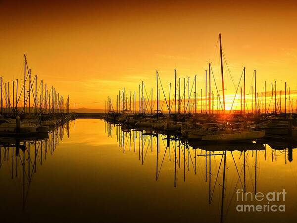 Scenic Poster featuring the photograph Sunrise at the Marina #1 by Scott Cameron